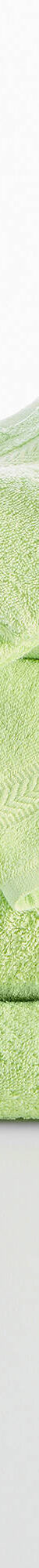 Collection serviettes de bain unies 420 g/m2 confort moelleux (anis) Collection serviettes de bain unies 420 g/m2 confort moelleux (anis)